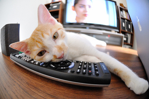 76人连胜稳步前行!,76人连败纪录